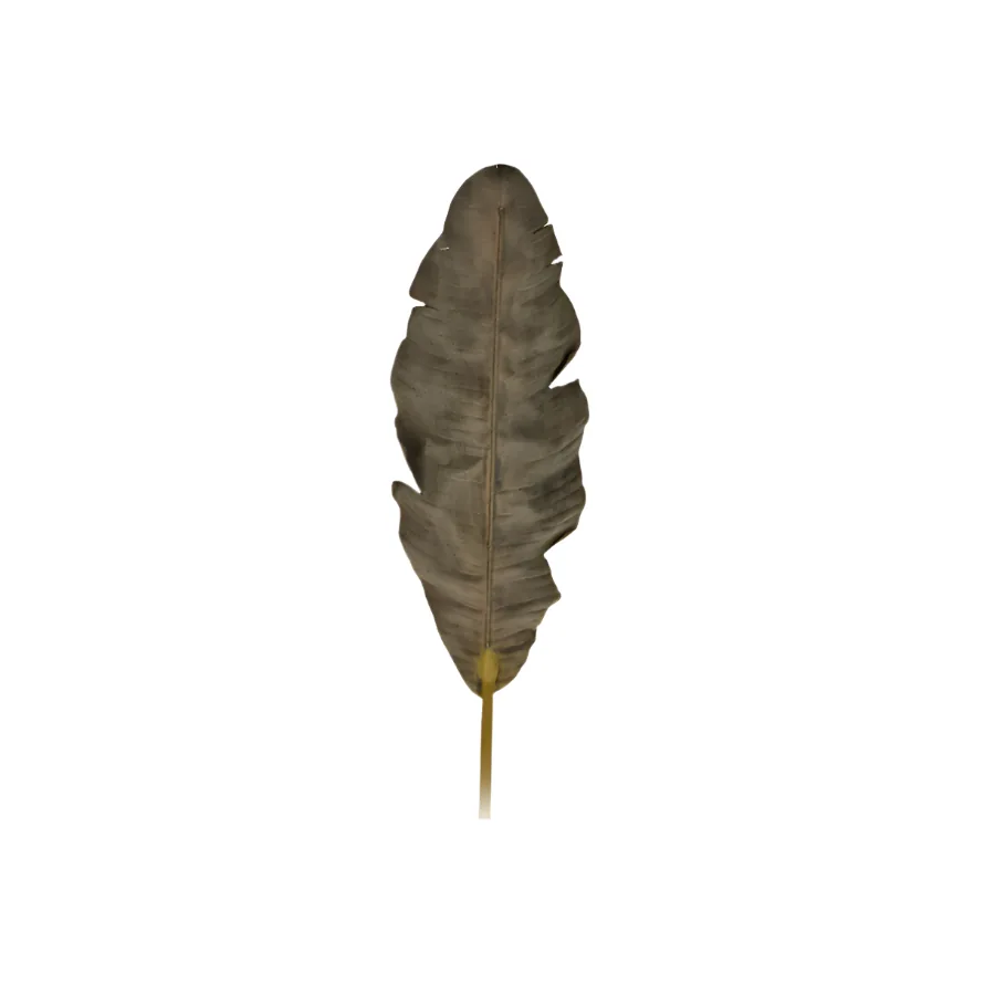 Banana Leaf, 28x5x140, Brown