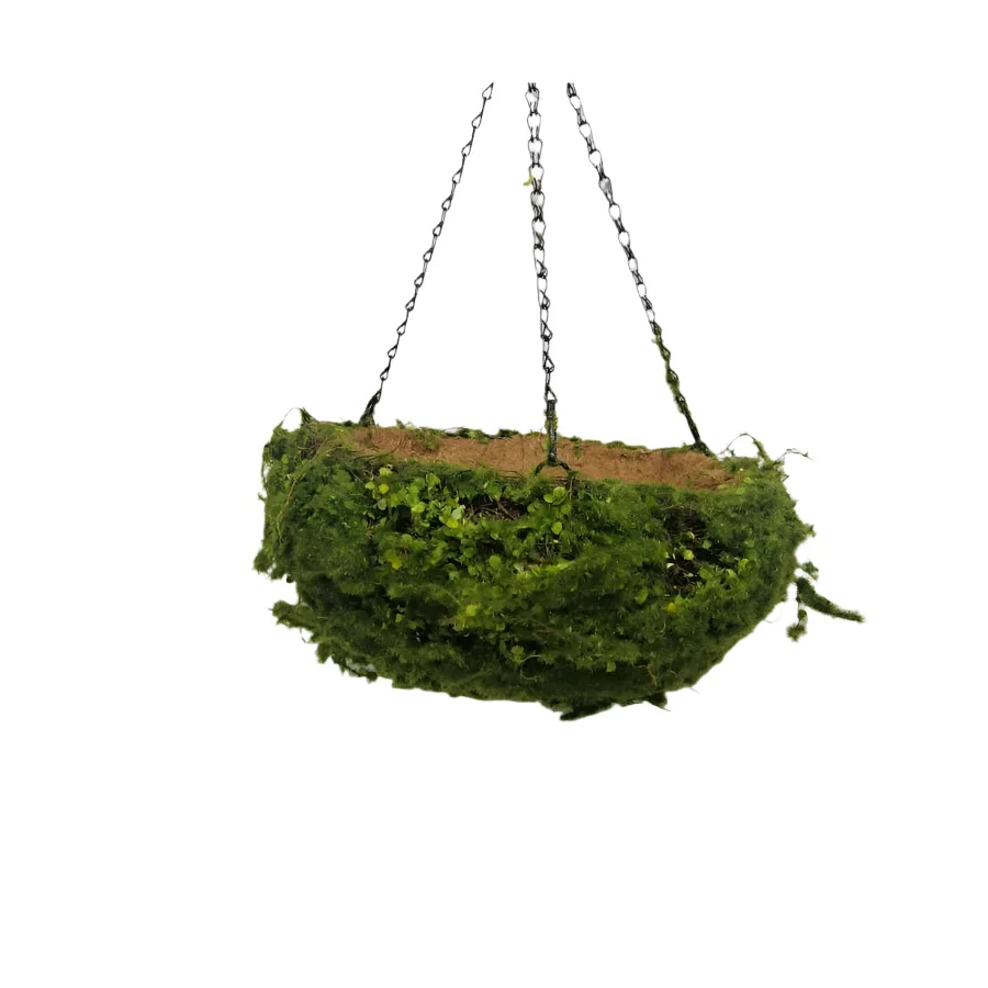 Hanging Grass Basket 36cm